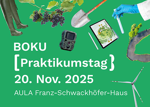 Moinka Medvey / BOKU Career Center BOKU Praktikumstag 2025